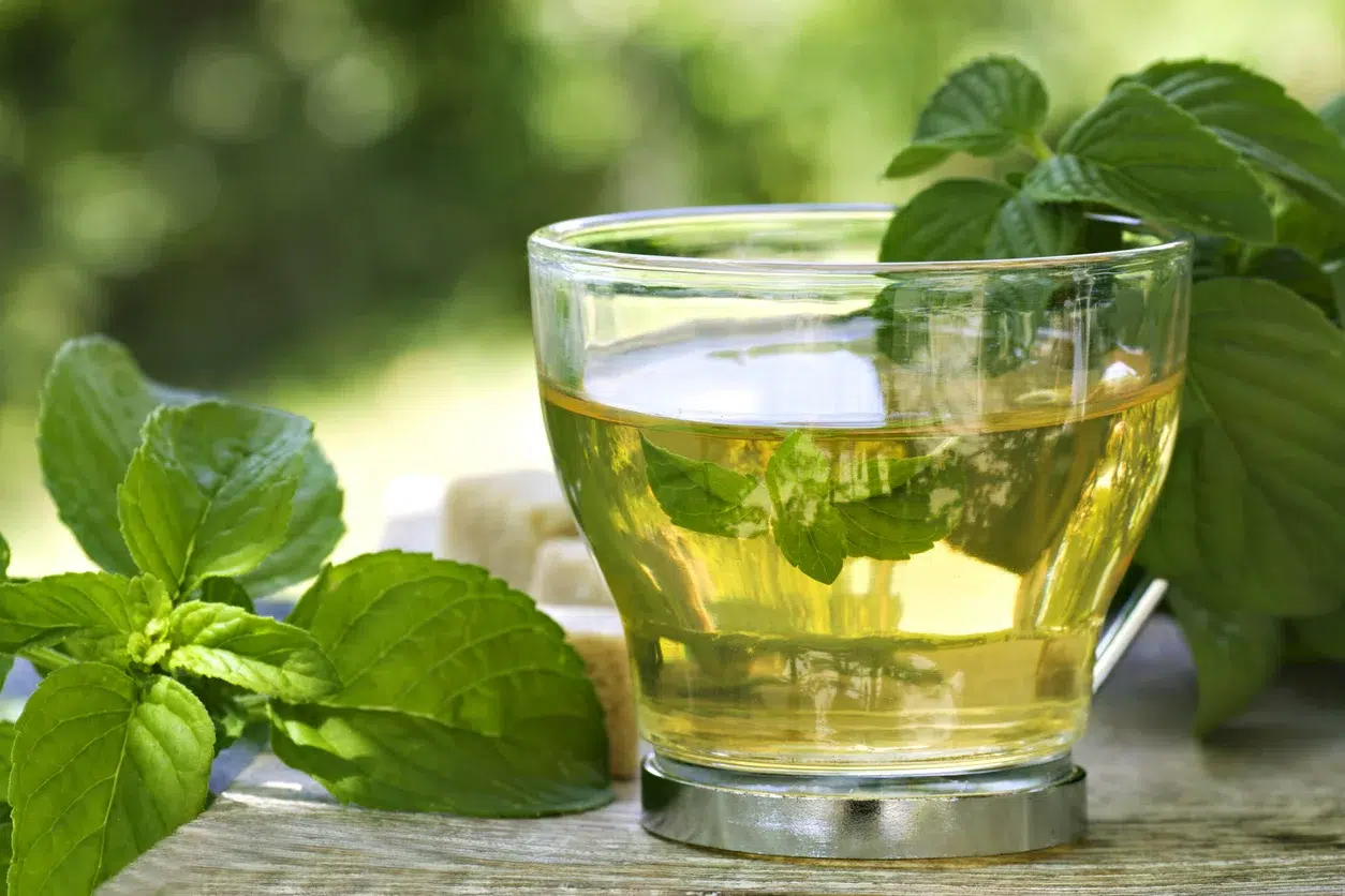 Revitalize with Glucose Tea Recipes