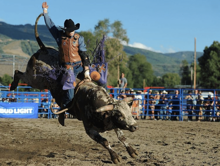 Rodeo: Heritage or Harm?