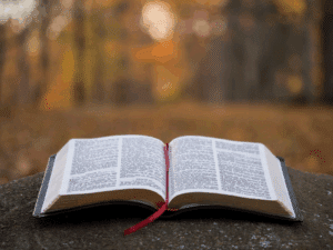 Bible Wisdom: Your Practical Journey